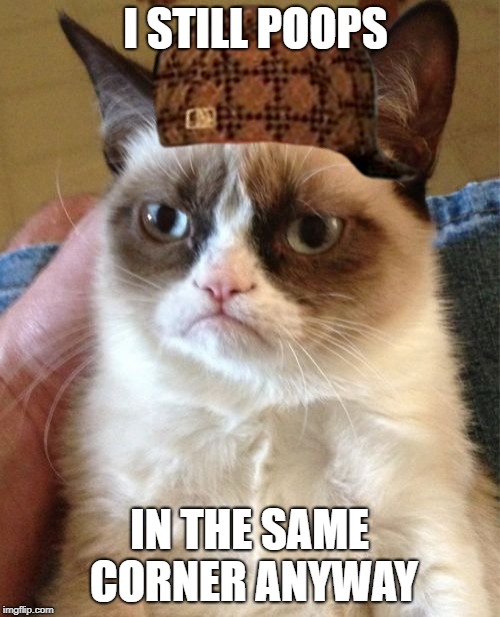 Grumpy Cat Meme | I STILL POOPS IN THE SAME CORNER ANYWAY | image tagged in memes,grumpy cat,scumbag | made w/ Imgflip meme maker