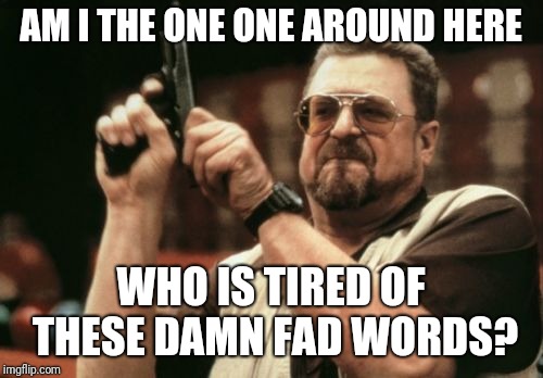 Am I The Only One Around Here Meme | AM I THE ONE ONE AROUND HERE; WHO IS TIRED OF THESE DAMN FAD WORDS? | image tagged in memes,am i the only one around here | made w/ Imgflip meme maker