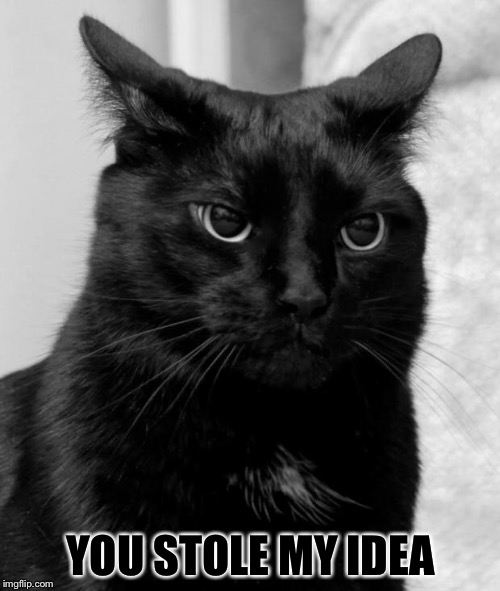 Black cat pissed | YOU STOLE MY IDEA | image tagged in black cat pissed | made w/ Imgflip meme maker