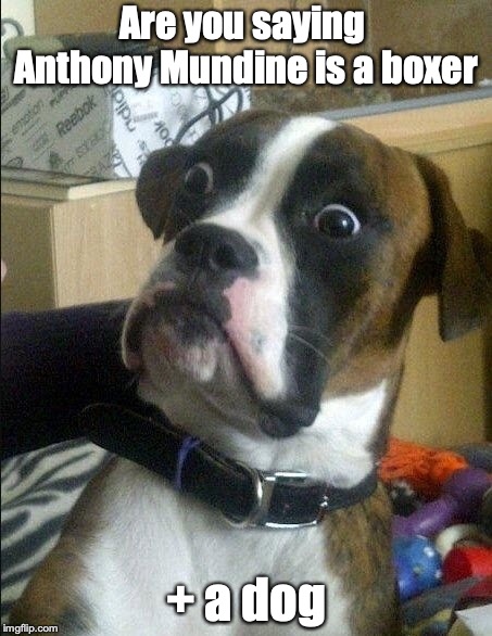 Mundine | Are you saying Anthony Mundine is a boxer; + a dog | image tagged in anthonymundine | made w/ Imgflip meme maker