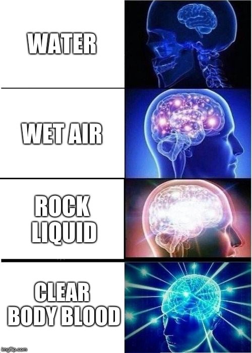 Expanding Brain | WATER; WET AIR; ROCK LIQUID; CLEAR BODY BLOOD | image tagged in memes,expanding brain | made w/ Imgflip meme maker