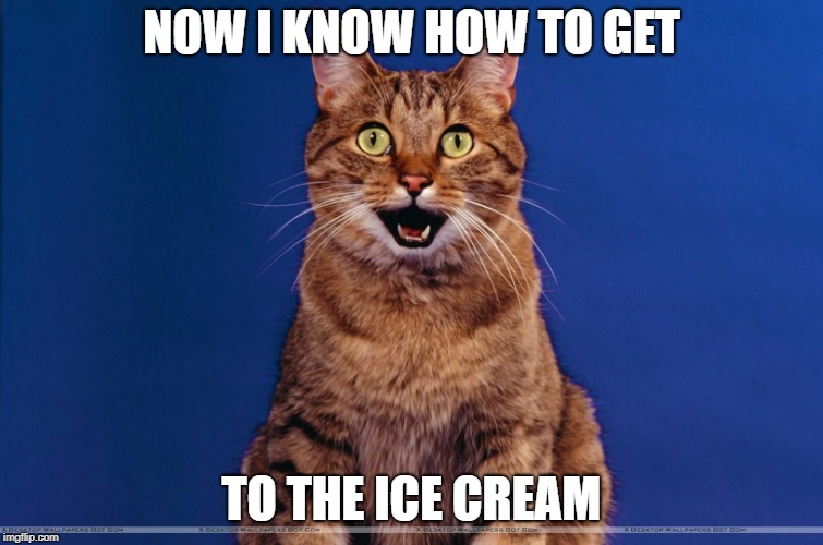NOW I KNOW HOW TO GET TO THE ICE CREAM | made w/ Imgflip meme maker