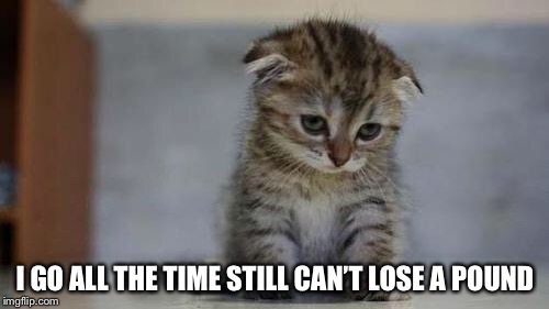 Sad kitten | I GO ALL THE TIME STILL CAN’T LOSE A POUND | image tagged in sad kitten | made w/ Imgflip meme maker