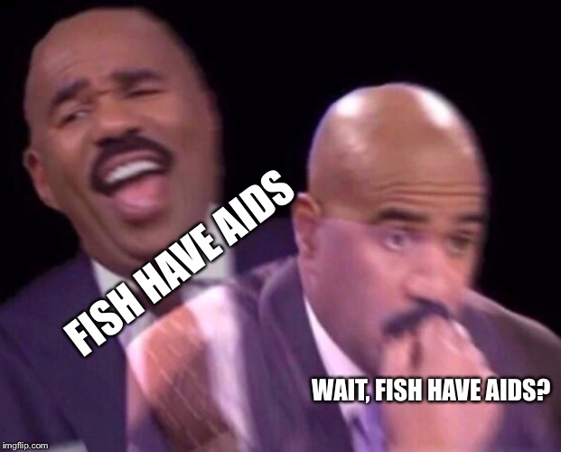 FISH HAVE AIDS WAIT, FISH HAVE AIDS? | made w/ Imgflip meme maker