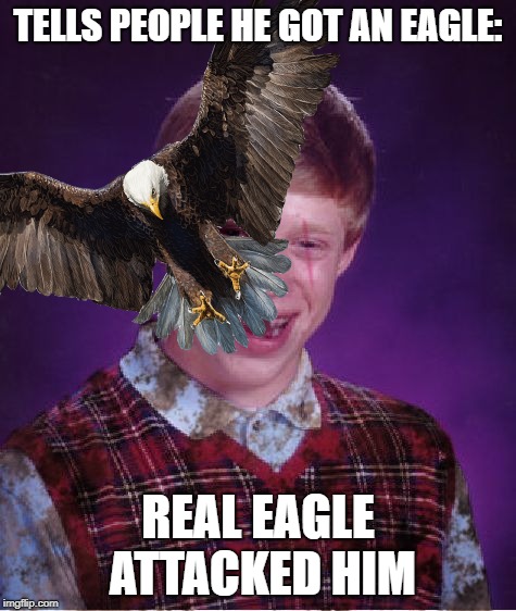 TELLS PEOPLE HE GOT AN EAGLE: REAL EAGLE ATTACKED HIM | made w/ Imgflip meme maker