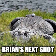 BRIAN'S NEXT SHOT | made w/ Imgflip meme maker