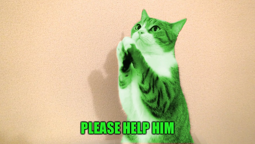 RayCat Pray | PLEASE HELP HIM | image tagged in raycat pray | made w/ Imgflip meme maker