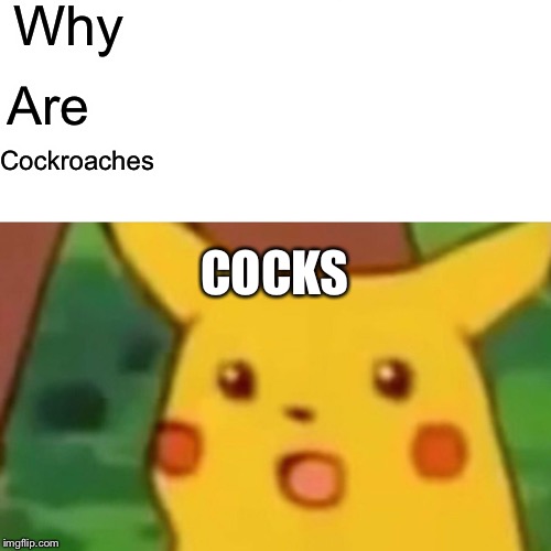 Surprised Pikachu | Why; Are; Cockroaches; COCKS | image tagged in memes,surprised pikachu | made w/ Imgflip meme maker