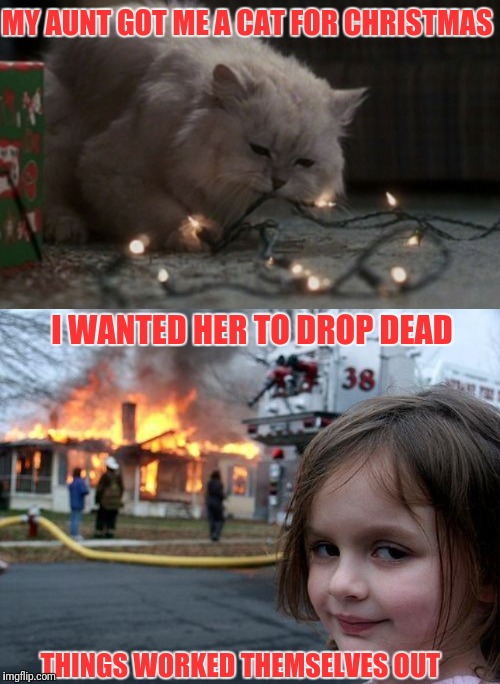 No Need To Call The Fire Department Unless Its A Sure Thing | MY AUNT GOT ME A CAT FOR CHRISTMAS; I WANTED HER TO DROP DEAD; THINGS WORKED THEMSELVES OUT | image tagged in memes,disaster girl | made w/ Imgflip meme maker