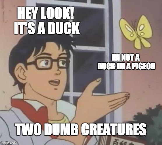 Is This A Pigeon Meme | HEY LOOK! IT'S A DUCK; IM NOT A DUCK IM A PIGEON; TWO DUMB CREATURES | image tagged in memes,is this a pigeon | made w/ Imgflip meme maker