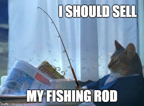 Teach a cat to fish and he'll still want you to feed him... | I SHOULD SELL; MY FISHING ROD | image tagged in memes,i should buy a boat cat,fishing | made w/ Imgflip meme maker