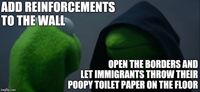 Evil Kermit | ADD REINFORCEMENTS TO THE WALL; OPEN THE BORDERS AND LET IMMIGRANTS THROW THEIR POOPY TOILET PAPER ON THE FLOOR | image tagged in memes,evil kermit | made w/ Imgflip meme maker