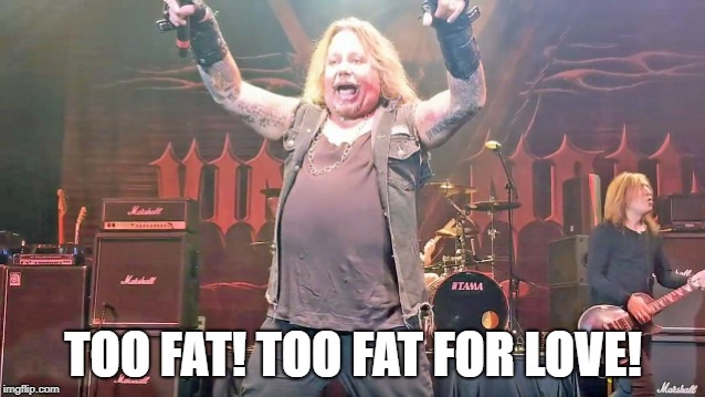 Vince Neil - Too FAT For Love | TOO FAT! TOO FAT FOR LOVE! | image tagged in vince neil,too fast for love,mtley cre | made w/ Imgflip meme maker