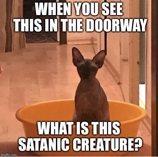 WHEN YOU SEE THIS IN THE DOORWAY; WHAT IS THIS SATANIC CREATURE? | image tagged in satan trinity | made w/ Imgflip meme maker