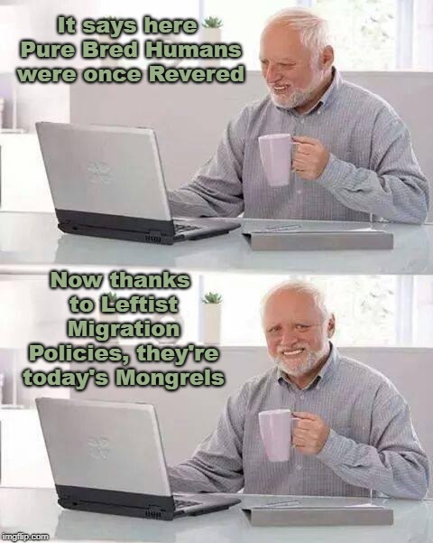 Hide the Pain Harold Meme | It says here Pure Bred Humans were once Revered; Now thanks to Leftist Migration Policies, they're today's Mongrels | image tagged in memes,hide the pain harold | made w/ Imgflip meme maker