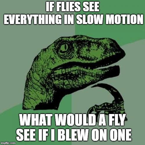 Philosoraptor Meme | IF FLIES SEE EVERYTHING IN SLOW MOTION; WHAT WOULD A FLY SEE IF I BLEW ON ONE | image tagged in memes,philosoraptor | made w/ Imgflip meme maker