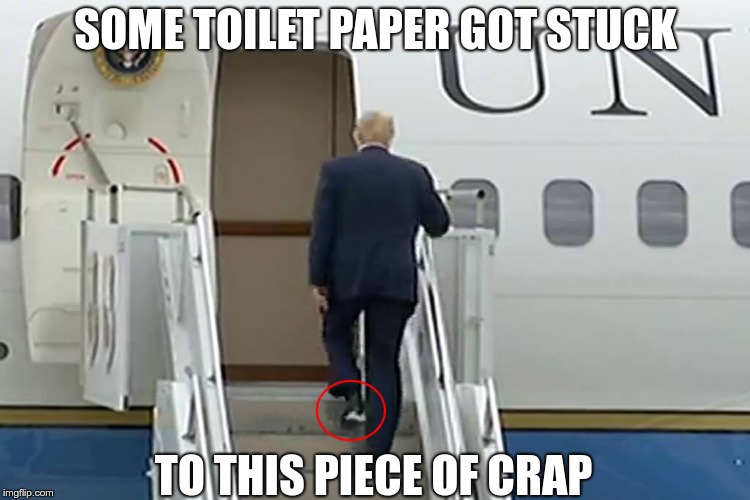 Crap | SOME TOILET PAPER GOT STUCK; TO THIS PIECE OF CRAP | image tagged in trump,crap,moron,nazi,fascist | made w/ Imgflip meme maker