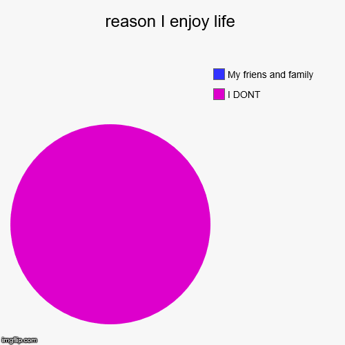 reason I enjoy life | I DONT, My friens and family | image tagged in funny,pie charts | made w/ Imgflip chart maker