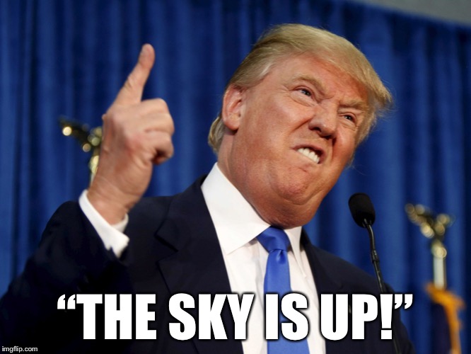Donald points out the obvious | “THE SKY IS UP!” | image tagged in donald trump mad | made w/ Imgflip meme maker
