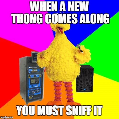 Inspired by some crazy redhead... |  WHEN A NEW THONG COMES ALONG; YOU MUST SNIFF IT | image tagged in wrong lyrics karaoke big bird,redredwine,devo,whip | made w/ Imgflip meme maker