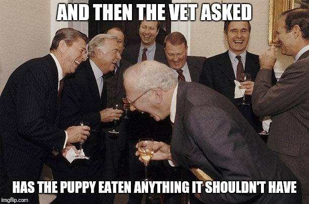 And then the vet asked | AND THEN THE VET ASKED; HAS THE PUPPY EATEN ANYTHING IT SHOULDN'T HAVE | image tagged in and then he said,memes,puppy,vets,funny memes | made w/ Imgflip meme maker