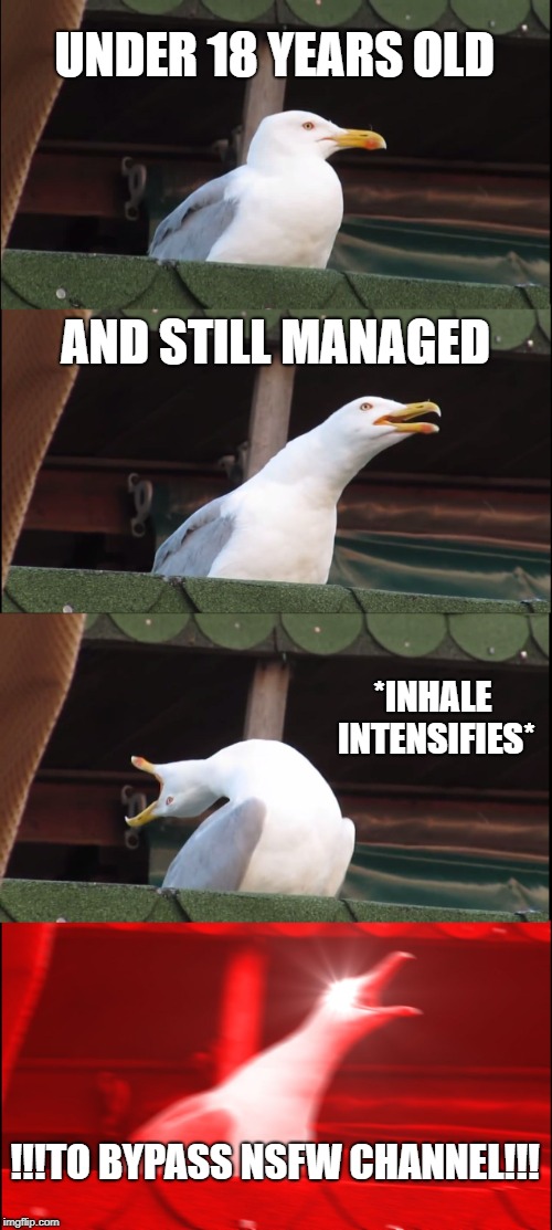 Inhaling Seagull Meme | UNDER 18 YEARS OLD; AND STILL MANAGED; *INHALE INTENSIFIES*; !!!TO BYPASS NSFW CHANNEL!!! | image tagged in memes,inhaling seagull | made w/ Imgflip meme maker