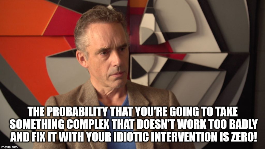 jordan peterson | THE PROBABILITY THAT YOU'RE GOING TO TAKE SOMETHING COMPLEX THAT DOESN'T WORK TOO BADLY AND FIX IT WITH YOUR IDIOTIC INTERVENTION IS ZERO! | image tagged in jordan peterson | made w/ Imgflip meme maker