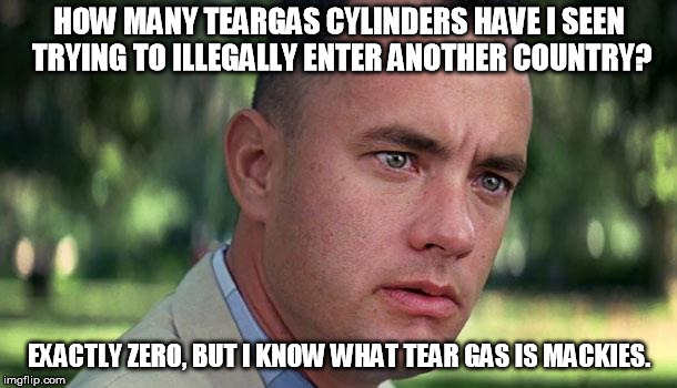 Forest Gump | HOW MANY TEARGAS CYLINDERS HAVE I SEEN TRYING TO ILLEGALLY ENTER ANOTHER COUNTRY? EXACTLY ZERO, BUT I KNOW WHAT TEAR GAS IS MACKIES. | image tagged in forest gump | made w/ Imgflip meme maker