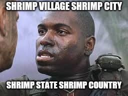 Bubba Gump | SHRIMP VILLAGE SHRIMP CITY SHRIMP STATE SHRIMP COUNTRY | image tagged in bubba gump | made w/ Imgflip meme maker