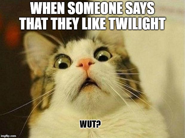 Scared Cat | WHEN SOMEONE SAYS THAT THEY LIKE TWILIGHT; WUT? | image tagged in memes,scared cat | made w/ Imgflip meme maker