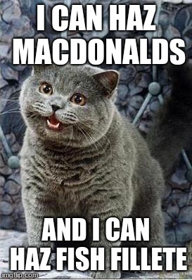 I can has cheezburger cat | I CAN HAZ MACDONALDS; AND I CAN HAZ FISH FILLETE | image tagged in i can has cheezburger cat | made w/ Imgflip meme maker
