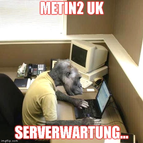 Monkey Business Meme | METIN2 UK; SERVERWARTUNG... | image tagged in memes,monkey business | made w/ Imgflip meme maker