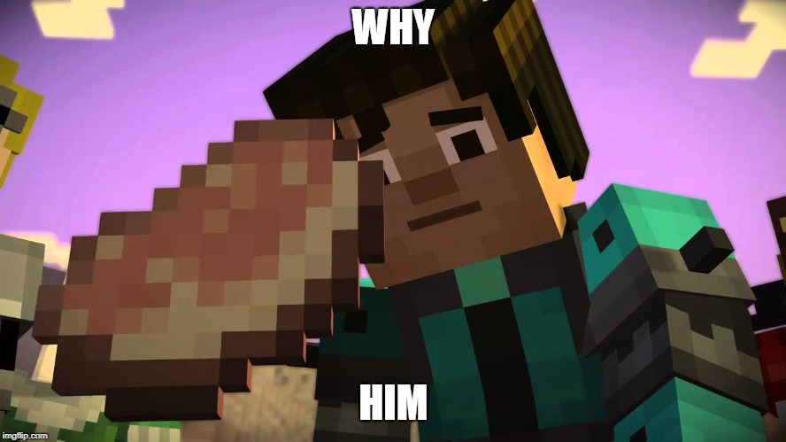 WHY; HIM | image tagged in mine,minecraft | made w/ Imgflip meme maker