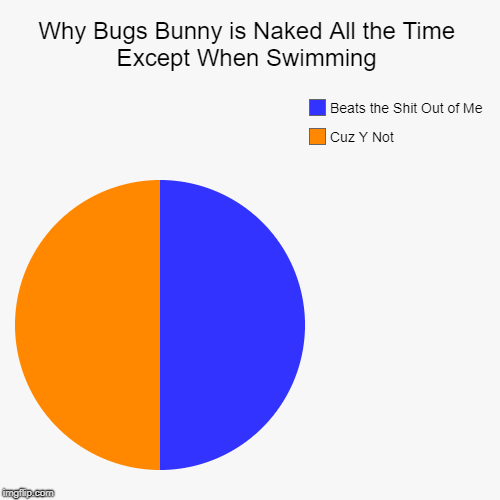 Why Bugs Bunny is Naked All the Time Except When Swimming | Cuz Y Not, Beats the Shit Out of Me | image tagged in funny,pie charts | made w/ Imgflip chart maker