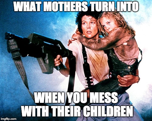 Mothers Protect | WHAT MOTHERS TURN INTO; WHEN YOU MESS WITH THEIR CHILDREN | image tagged in mothers protect | made w/ Imgflip meme maker