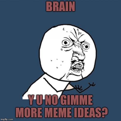 Y U No Meme | BRAIN; Y U NO GIMME MORE MEME IDEAS? | image tagged in memes,y u no,brain,funny,fun,meme ideas | made w/ Imgflip meme maker