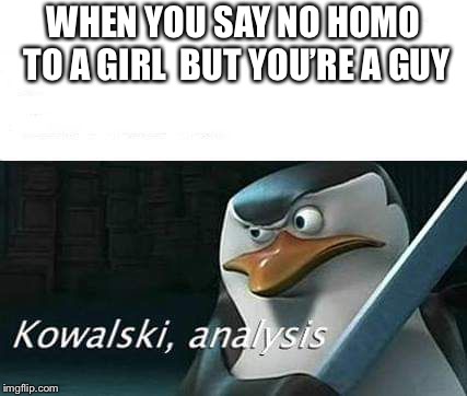 kowalski, analysis | WHEN YOU SAY NO HOMO TO A GIRL 
BUT YOU’RE A GUY | image tagged in kowalski analysis | made w/ Imgflip meme maker