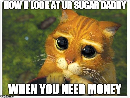 Shrek Cat | HOW U LOOK AT UR SUGAR DADDY; WHEN YOU NEED MONEY | image tagged in memes,shrek cat | made w/ Imgflip meme maker