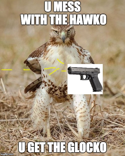 Hawk the Gunfighter | U MESS WITH THE HAWKO; U GET THE GLOCKO | image tagged in hawk the gunfighter | made w/ Imgflip meme maker