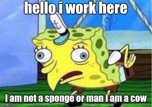Mocking Spongebob Meme | hello i work here; i am not a sponge or man i am a cow | image tagged in memes,mocking spongebob | made w/ Imgflip meme maker