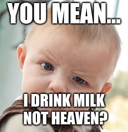 Skeptical Baby Meme | YOU MEAN... I DRINK MILK NOT HEAVEN? | image tagged in memes,skeptical baby | made w/ Imgflip meme maker