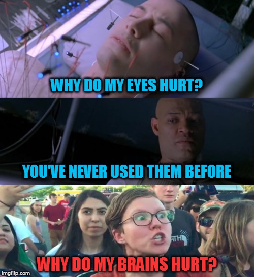 Some answers are universal | WHY DO MY EYES HURT? YOU'VE NEVER USED THEM BEFORE; WHY DO MY BRAINS HURT? | image tagged in matrix eyes hurt,memes | made w/ Imgflip meme maker