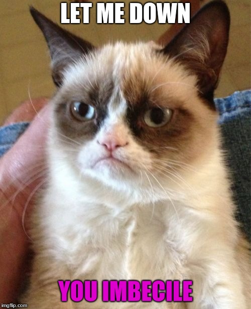 Grumpy Cat | LET ME DOWN; YOU IMBECILE | image tagged in memes,grumpy cat | made w/ Imgflip meme maker