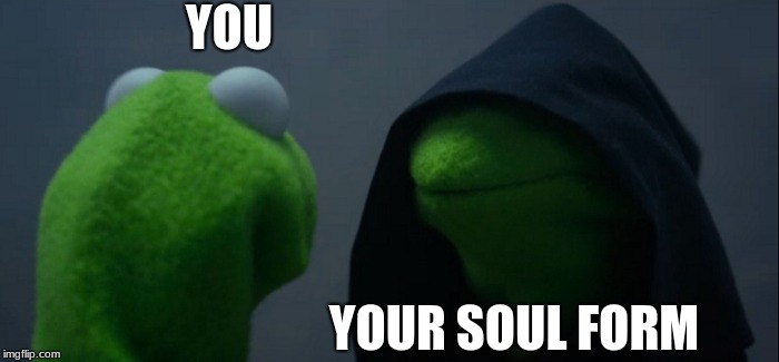 Evil Kermit Meme | YOU; YOUR SOUL FORM | image tagged in memes,evil kermit | made w/ Imgflip meme maker