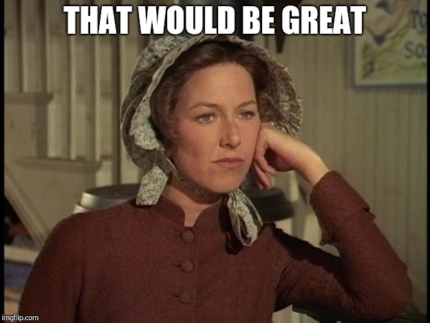 Little House on the Prairie Mrs. Ingalls concerned | THAT WOULD BE GREAT | image tagged in little house on the prairie mrs ingalls concerned | made w/ Imgflip meme maker