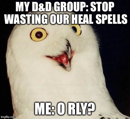 O RLY? | MY D&D GROUP: STOP WASTING OUR HEAL SPELLS; ME: O RLY? | image tagged in o rly | made w/ Imgflip meme maker