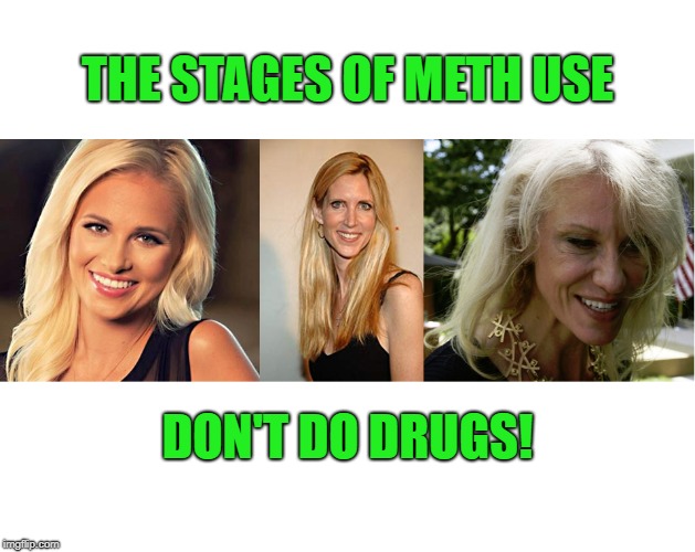 Tomi Ann Conway on Meth! | THE STAGES OF METH USE; DON'T DO DRUGS! | image tagged in politics,tomi lahren,ann coulter,kellyanne conway,republicans,drugs are bad | made w/ Imgflip meme maker