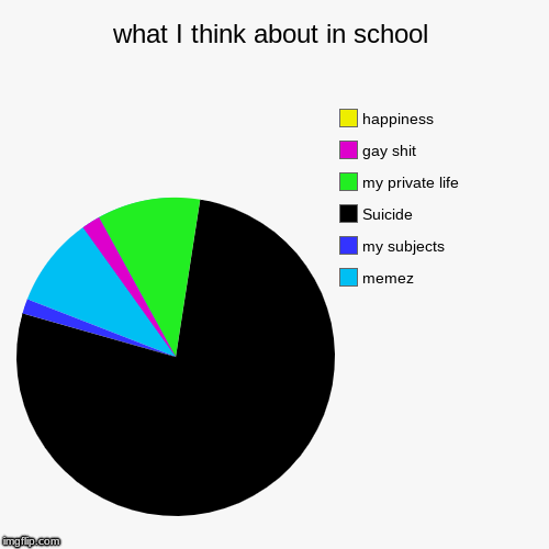 what I think about in school | memez, my subjects, Suicide, my private life, gay shit, happiness | image tagged in funny,pie charts | made w/ Imgflip chart maker