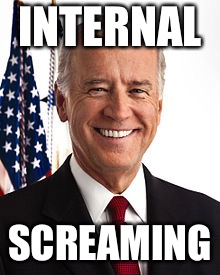 Joe Biden | INTERNAL; SCREAMING | image tagged in memes,joe biden | made w/ Imgflip meme maker