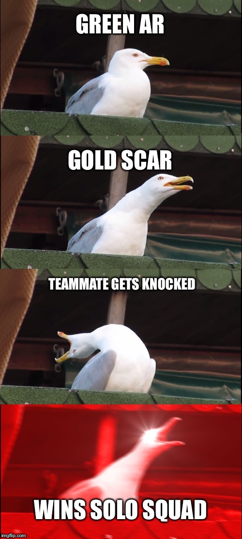 Inhaling Seagull | GREEN AR; GOLD SCAR; TEAMMATE GETS KNOCKED; WINS SOLO SQUAD | image tagged in memes,inhaling seagull | made w/ Imgflip meme maker